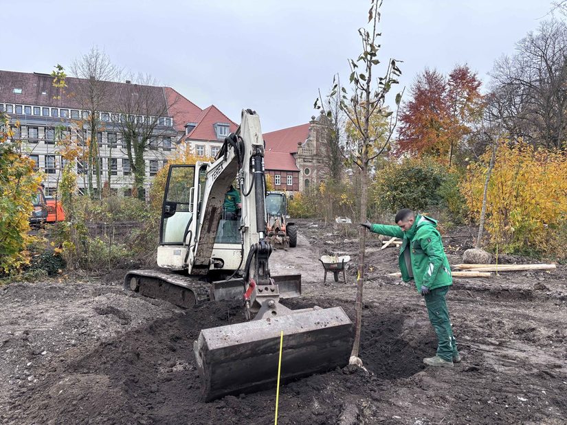 Erste Baumpflanzung Geisselscher Garten